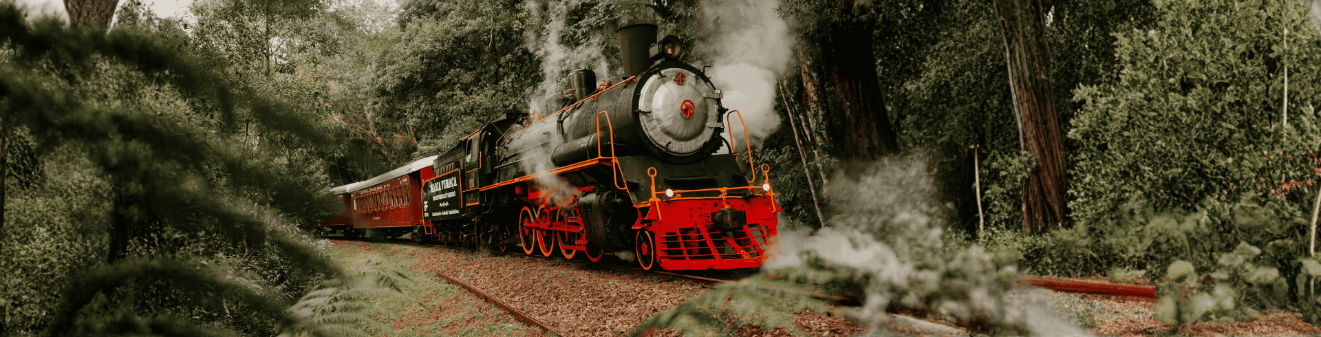 Bento Gon�alves - Fil�, Viva a It�lia